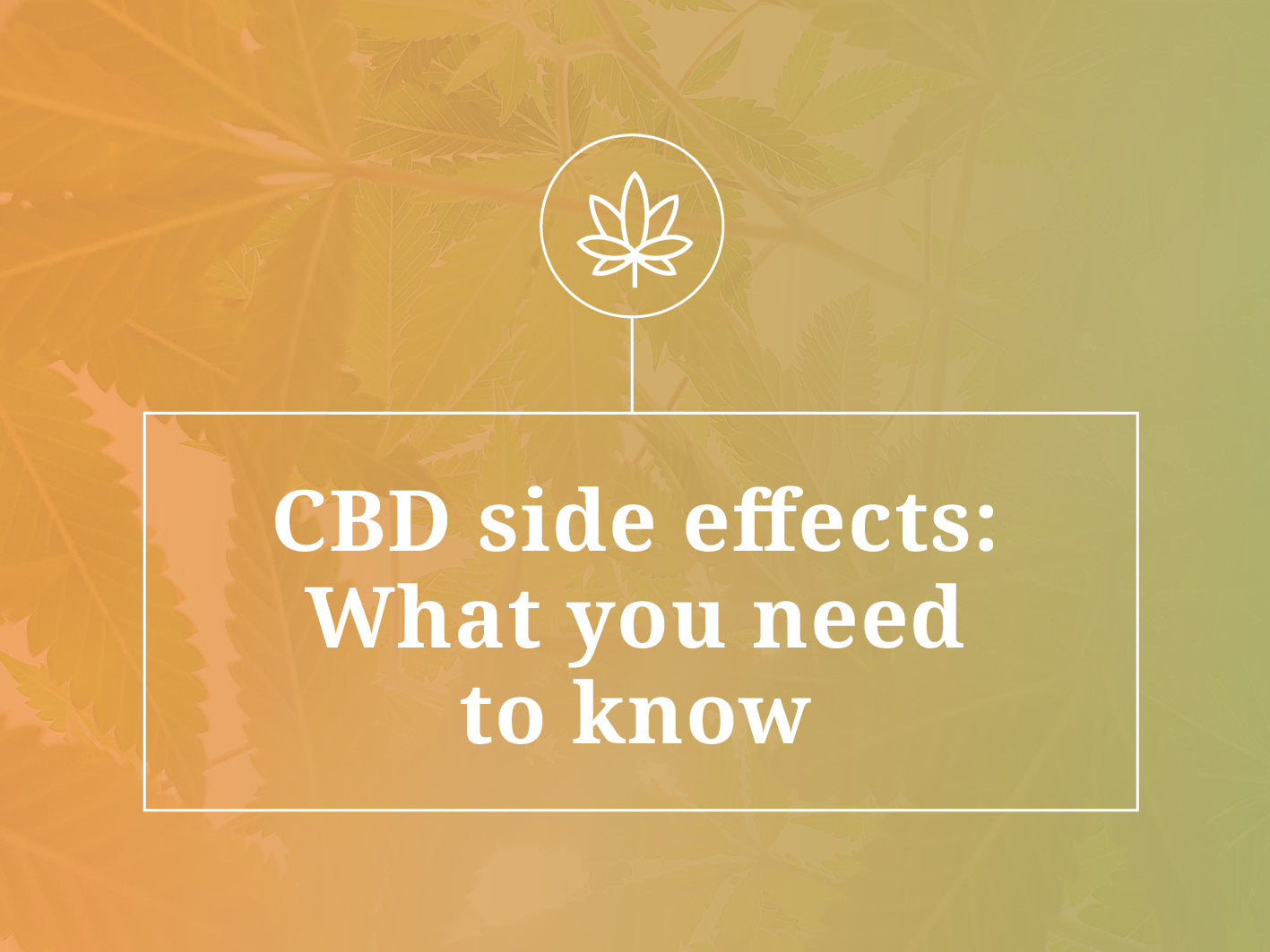 CBD Side Effects: What You Need to Know