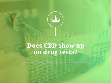 CBD and Drug Testing in the UK: What You Need to Know