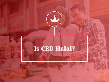 Navigating the Halal Status of CBD: Insights for the Muslim Community